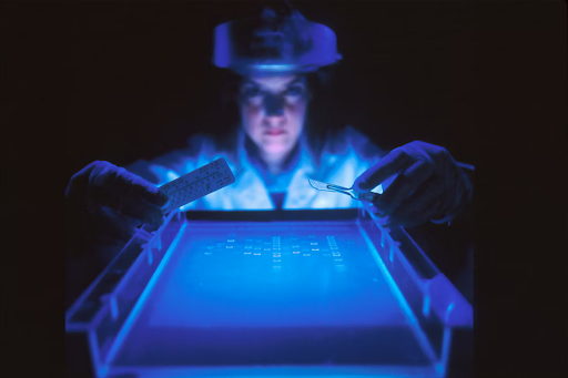 A doctor working on a medical sample examination with an electronic viewfinder and a scalpel